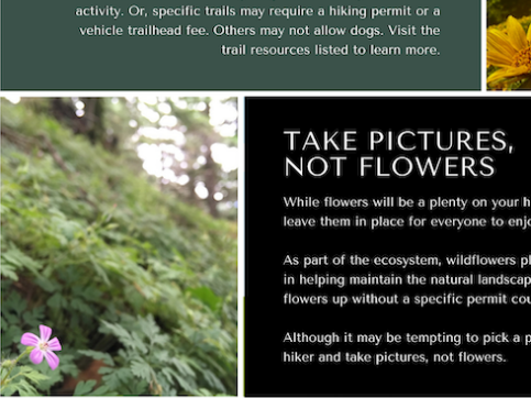 A section of an e-guide on local hikes used in a content marketing campaign for a BnB surrounded by great hiking.